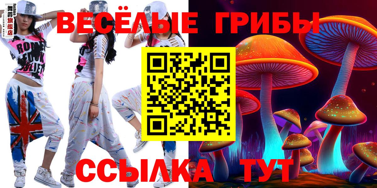 Псилоцибиновые грибы MAGIC MUSHROOMS Полевской