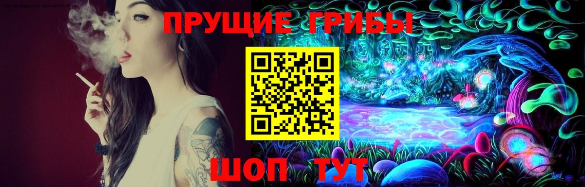 Псилоцибиновые грибы Magic Shrooms  купить наркотики сайты  Вход с VPN  Полевской  Галлюциногенные грибы прущие грибы 